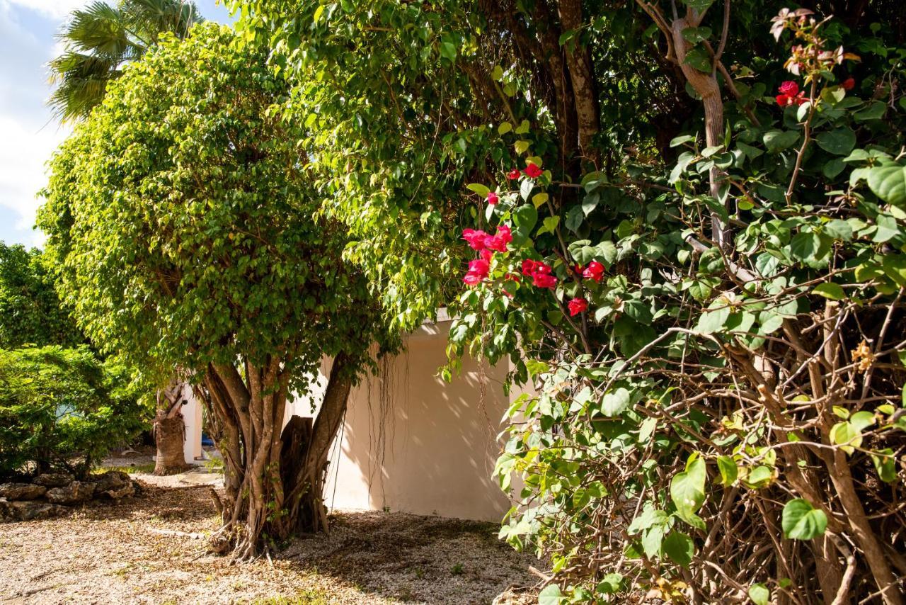Hamlet Oasis Resort Kralendijk  Ngoại thất bức ảnh